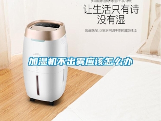常見問題加濕機(jī)不出霧應(yīng)該怎么辦