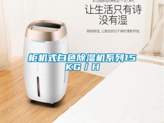 行業(yè)新聞柜機式白色除濕機系列15KG／H