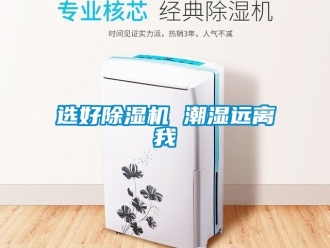 行業新聞選好除濕機 潮濕遠離我