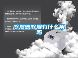 行業新聞除濕器除濕有什么用嗎