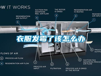 常見問題衣服發霉了該怎么辦