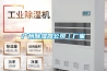 家用除濕機什么價格？