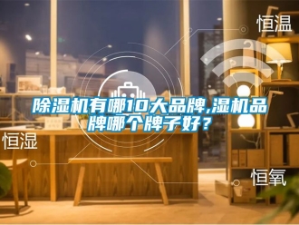 企業新聞除濕機有哪10大品牌,濕機品牌哪個牌子好？