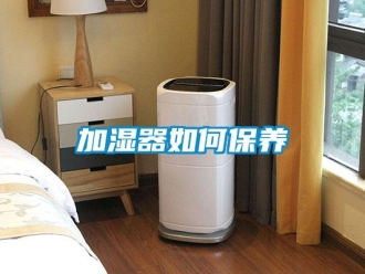 常見問題加濕器如何保養
