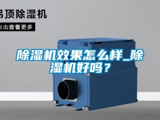 行業(yè)新聞除濕機(jī)效果怎么樣_除濕機(jī)好嗎？