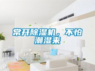 企業新聞常開除濕機，不怕潮濕來