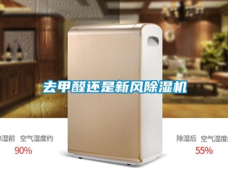 行業新聞去甲醛還是新風除濕機