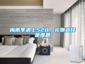 行業(yè)新聞梅雨季遇上520，禮物選擇是難題
