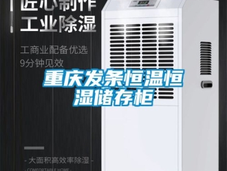 知識(shí)百科重慶發(fā)條恒溫恒濕儲(chǔ)存柜