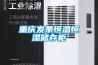 重慶發條恒溫恒濕儲存柜