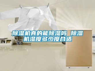 行業新聞除濕機真的能除濕嗎 除濕機濕度多少度合適