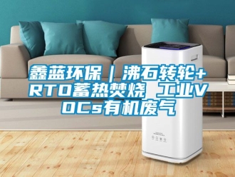常見問題鑫藍環(huán)保｜沸石轉輪+RTO蓄熱焚燒 工業(yè)VOCs有機廢氣
