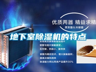 企業(yè)新聞地下室除濕機(jī)的特點(diǎn)