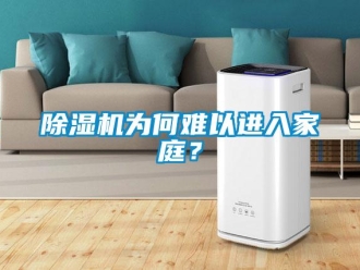 企業(yè)新聞除濕機為何難以進入家庭？