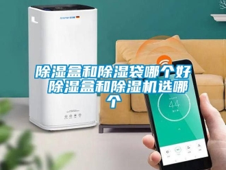 企業新聞除濕盒和除濕袋哪個好 除濕盒和除濕機選哪個