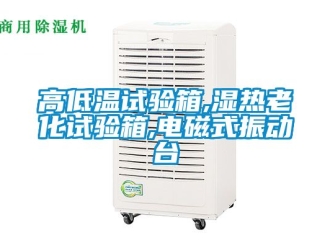 常見問題高低溫試驗(yàn)箱,濕熱老化試驗(yàn)箱,電磁式振動臺
