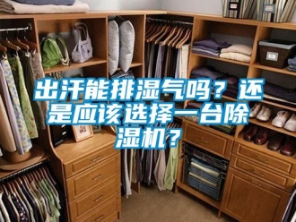 常見問題出汗能排濕氣嗎？還是應該選擇一臺除濕機？