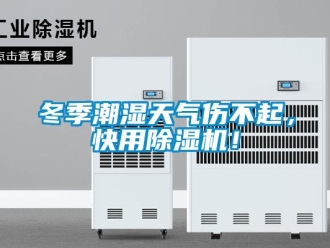 企業(yè)新聞冬季潮濕天氣傷不起，快用除濕機(jī)！