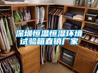 知識百科深圳恒溫恒濕環境試驗箱直銷廠家