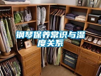 企業新聞鋼琴保養常識與濕度關系