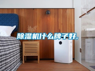 行業新聞除濕機什么牌子好,
