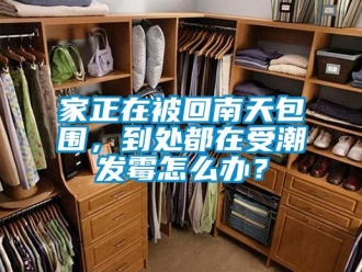 常見問題家正在被回南天包圍，到處都在受潮發霉怎么辦？