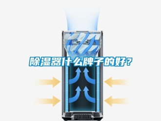 行業新聞除濕器什么牌子的好？