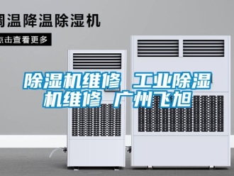 常見(jiàn)問(wèn)題除濕機(jī)維修 工業(yè)除濕機(jī)維修 廣州飛旭