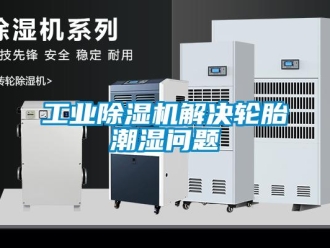 常見問題工業除濕機解決輪胎潮濕問題