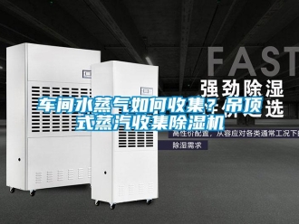常見(jiàn)問(wèn)題車(chē)間水蒸氣如何收集？吊頂式蒸汽收集除濕機(jī)