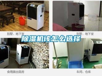 行業新聞除濕機該怎么選擇