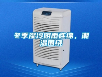 企業(yè)新聞冬季濕冷陰雨連綿，潮濕圍繞