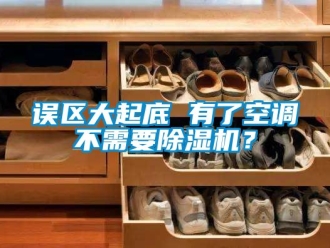 行業(yè)新聞?wù)`區(qū)大起底 有了空調(diào)不需要除濕機(jī)？