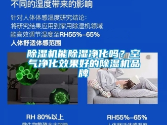 企業新聞除濕機能除濕凈化嗎？空氣凈化效果好的除濕機品牌