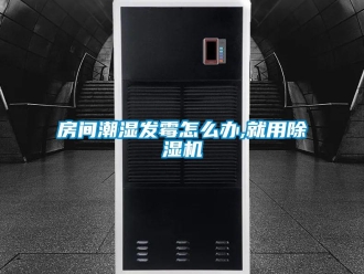 常見(jiàn)問(wèn)題房間潮濕發(fā)霉怎么辦,就用除濕機(jī)