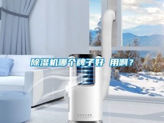 行業新聞除濕機哪個牌子好 用啊？