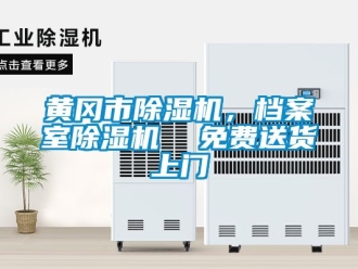 行業(yè)新聞黃岡市除濕機(jī)，檔案室除濕機(jī)  免費(fèi)送貨上門