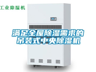 行業新聞滿足全屋除濕需求的吊裝式中央除濕機