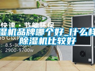 企業新聞除濕機品牌哪個好_什么樣的除濕機比較好
