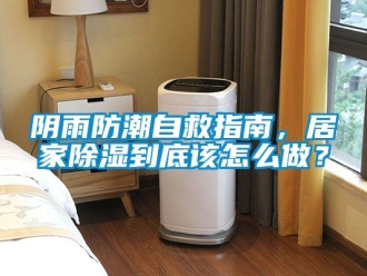 常見問題陰雨防潮自救指南，居家除濕到底該怎么做？