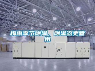 行業新聞梅雨季節除濕，除濕器更管用