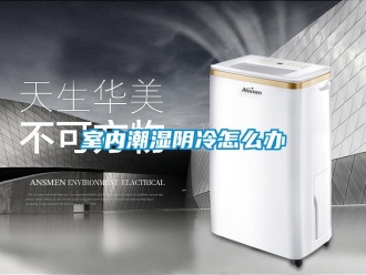 常見問題室內潮濕陰冷怎么辦