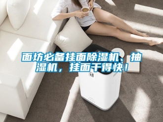 行業新聞面坊必備掛面除濕機、抽濕機，掛面干得快！