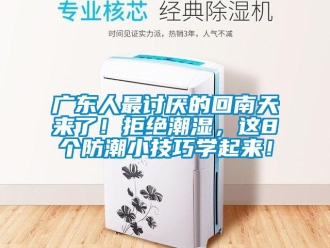 行業(yè)新聞廣東人最討厭的回南天來了！拒絕潮濕，這8個防潮小技巧學(xué)起來！