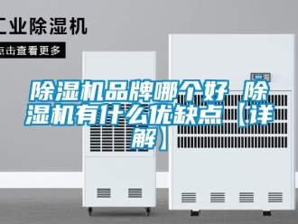 企業新聞除濕機品牌哪個好 除濕機有什么優缺點【詳解】