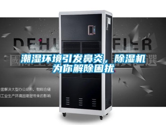 企業(yè)新聞潮濕環(huán)境引發(fā)鼻炎，除濕機為你解除困擾
