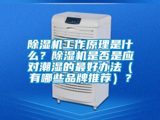 企業(yè)新聞除濕機(jī)工作原理是什么？除濕機(jī)是否是應(yīng)對潮濕的最好辦法（有哪些品牌推薦）？