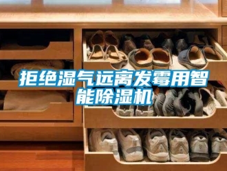 行業新聞拒絕濕氣遠離發霉用智能除濕機
