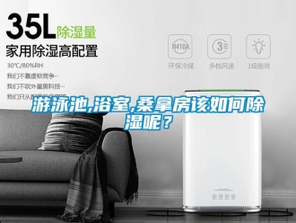 常見(jiàn)問(wèn)題游泳池,浴室,桑拿房該如何除濕呢？
