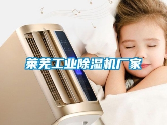 企業新聞萊蕪工業除濕機廠家